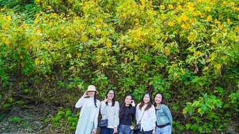 젊은이들은 새벽 4시부터 줄을 서서 구름을 사냥하고 야생 해바라기를 구경합니다.