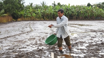 Những trăn trở từ đồng ruộng