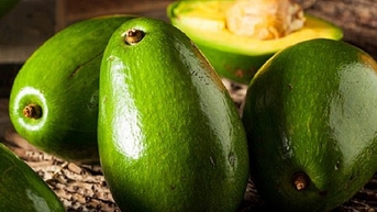 Trái bơ bổ dưỡng nhưng những ai nên tránh ăn?