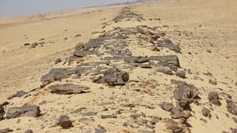 ផ្លូវក្រាលកៅស៊ូចាស់ជាងគេលើពិភពលោក