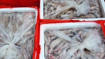 Ăn phải thực phẩm chứa formol, cơ thể sẽ thế nào?