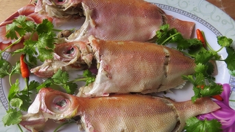 Cá bịp ăn rồi đến lúc ngủ mơ vẫn thèm