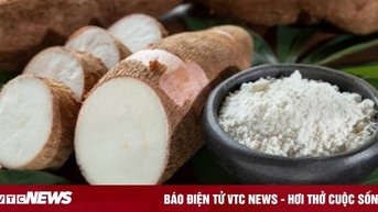 Củ khoai mì có tác dụng gì?