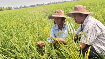Tăng trưởng lạc quan, nông nghiệp tiếp tục là trụ đỡ của nền kinh tế