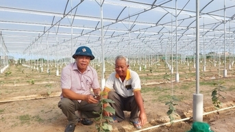 Nông nghiệp công nghệ cao Ninh Thuận: [Bài 4] Nhiều mô hình ứng dụng hiệu quả