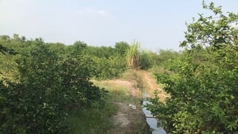 Dùng chó nghiệp vụ, flycam truy tìm nghi phạm giết người ở TP.HCM
