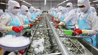 Tháng 1/2024, cả nước có 13,5 nghìn doanh nghiệp thành lập mới