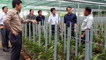 Đà Nẵng hỗ trợ đến 2 tỉ đồng cho mỗi dự án nông nghiệp công nghệ cao