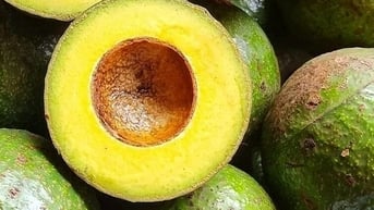 Lợi ích của quả bơ với trí não