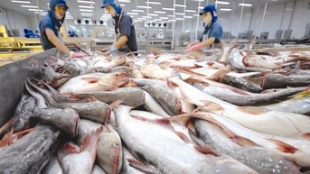 Mỹ giảm mức thuế chống bán phá giá cho 8 doanh nghiệp cá tra Việt Nam