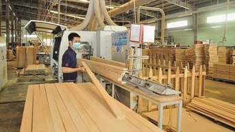Ngành gỗ Bình Định thấp thỏm với quy định mới của EU