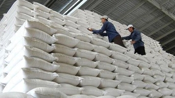 Nằm ở vựa lúa, Công ty Kim Hằng cũng "bỏ chạy" gói thầu gạo dự trữ