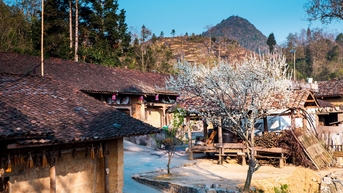 សហគមន៍​តេត​ជនជាតិ​ម៉ុង​នៅ​ជើង​បង្គោល​ទង់​ជាតិ​លុង​គុ