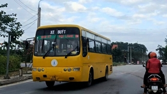 Quảng Nam kêu gọi đầu tư nhiều tuyến buýt không trợ giá nội tỉnh
