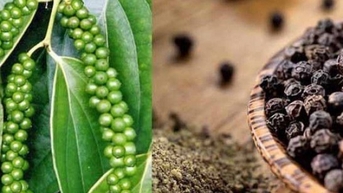 Dấu hiệu bất ổn ẩn sau sự ổn định của thị trường