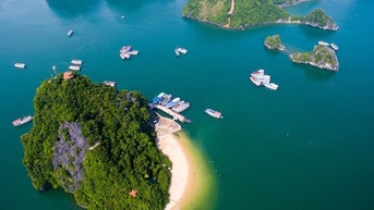 Không phải Phú Quốc hay Đà Nẵng, đây là bãi biển Việt Nam đẹp nhất thế giới