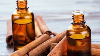 Tháo gỡ ngay vướng mắc trong xuất khẩu tinh dầu quế