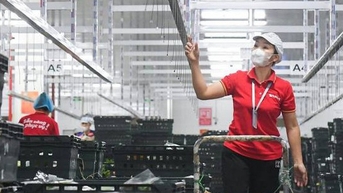Nhà tuyển dụng nào được yêu thích nhất 2023?