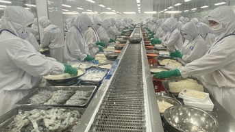 Nghịch mùa, giá tôm nguyên liệu tăng khủng