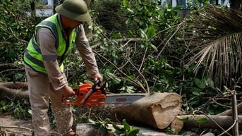 Công nhân cưa mòn lưỡi xích, công viên Hà Nội vẫn la liệt cây đổ