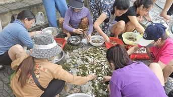 Nước đổ về, dân một xã ở Quảng Bình kéo ra sông Nhật Lệ tung lưới bắt toàn cá đặc sản ngon