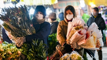 하노이 최대 꽃시장, 영하 10도 이하 기온에도 밤새 영업
