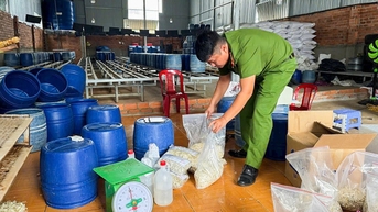 Đắk Lắk truy trách nhiệm, tìm hướng xử lý vụ giá ngâm chất cấm