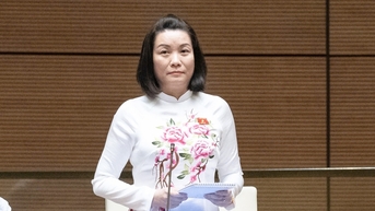 국회의원들, 신문 디지털 전환 위한 자원 확보에 의문 제기