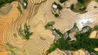 The beauty of the pouring water season of Hoang Su Phi terraced fields is irresistible