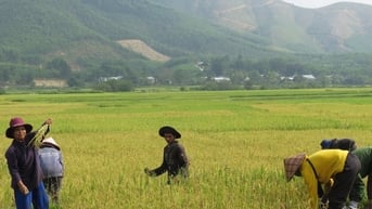 Nhiều nội dung chưa phù hợp