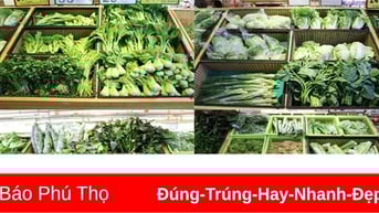 Giá cả một số mặt hàng tiêu dùng ngày 15/1/2025