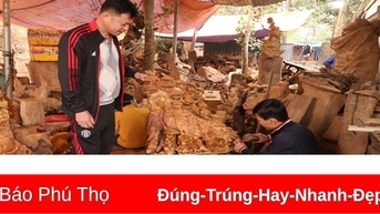 “Thổi hồn” cho gỗ lũa