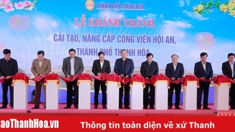 បានបញ្ចប់ការកែលម្អ និងជួសជុលឧទ្យាន Hoi An