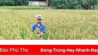 Phát triển sản phẩm OCOP để nâng cao giá trị nông sản