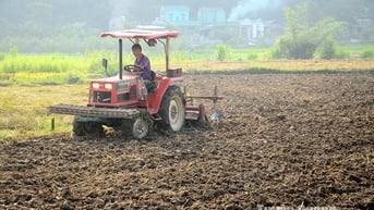 Sẵn sàng vụ xuân