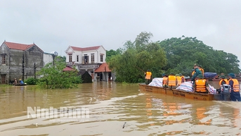 Nho Quan ធានាអាយុជីវិតប្រជាពលរដ្ឋរងគ្រោះដោយទឹកជំនន់