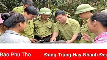 Thêm động lực đầu tư bảo vệ, phát triển rừng