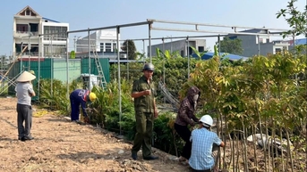 탄꾸엉(Thanh Cuong) 사단(Thanh Ha)의 농경지에서 법을 위반한 4가구가 자발적으로 건설을 해체했습니다.