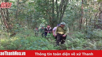 Hiệu quả thi hành Luật Lâm nghiệp