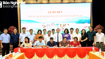 Hợp tác xã Nghệ An ký kết tiêu thụ sản phẩm tại diễn đàn kết nối cung - cầu