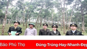 Giữ màu xanh no ấm