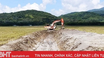 Tân Lộc hướng tới mục tiêu mỗi hộ chỉ sản xuất một thửa ruộng quy mô lớn