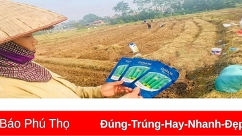 កុំទុកដីទំនេរក្នុងដំណាំរដូវរងា