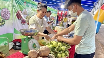 Gia Lai: Hỗ trợ bà con miền núi kết nối cung