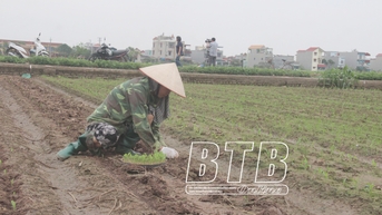 겨울 작물 생산의 유연성