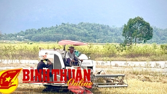 ផលិតកម្មស្រូវសម្របទៅនឹងការប្រែប្រួលអាកាសធាតុ