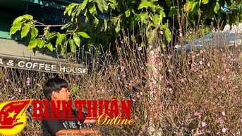 Chợ Tết Phan Thiết bắt đầu mở từ ngày 20 tháng chạp