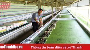 Nâng cao hiệu quả khởi nghiệp trong đoàn viên thanh niên