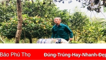 Người uy tín ở Nưa Hạ