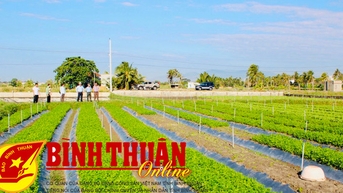វគ្គបណ្ដុះបណ្ដាលលើកម្មវិធី Software "Binh Thuan Digital Agriculture"
